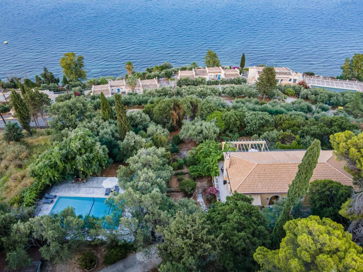 Villa Scheria *
